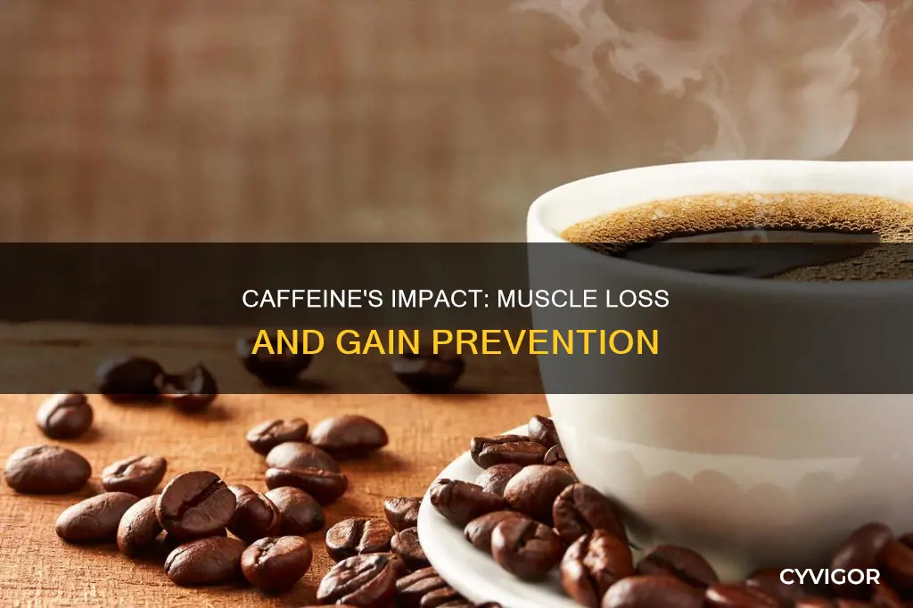 does caffeine eat your muscles