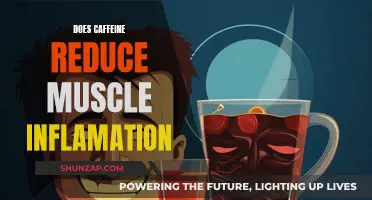 Caffeine's Impact: Reducing Muscle Inflammation and Enhancing Recovery