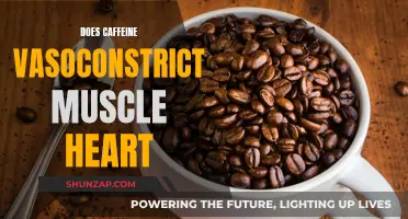 Caffeine's Impact on Muscle and Heart Vasoconstriction