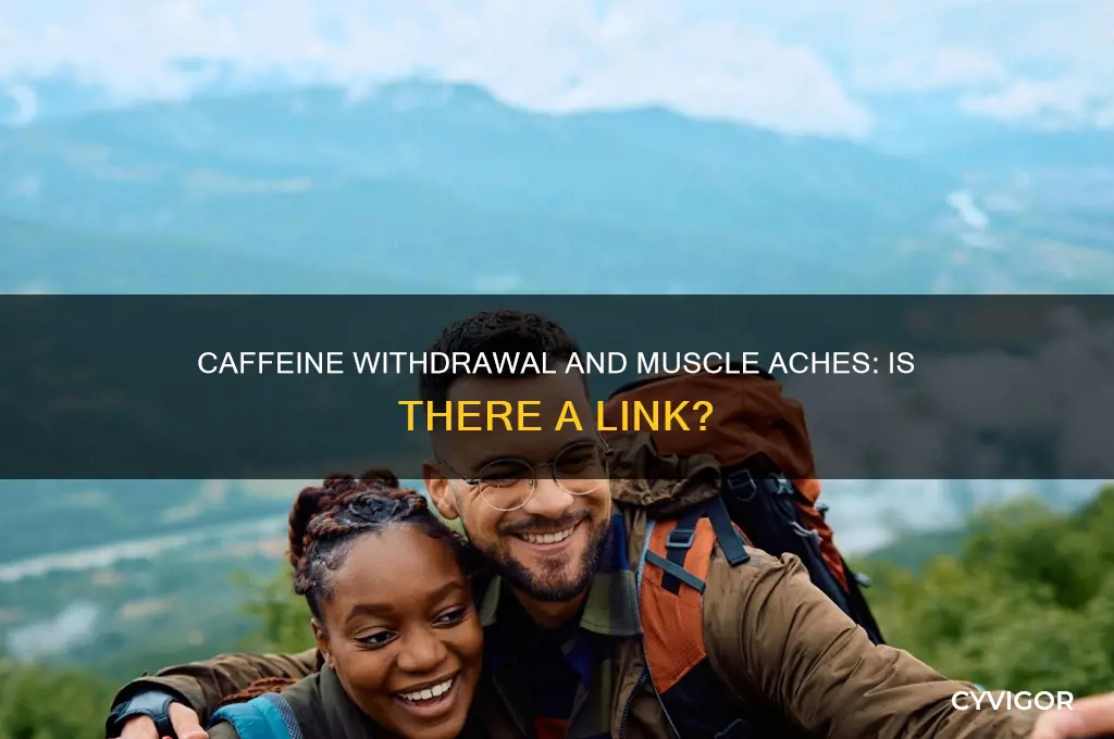 does caffeine withdrawal cause muscle aches