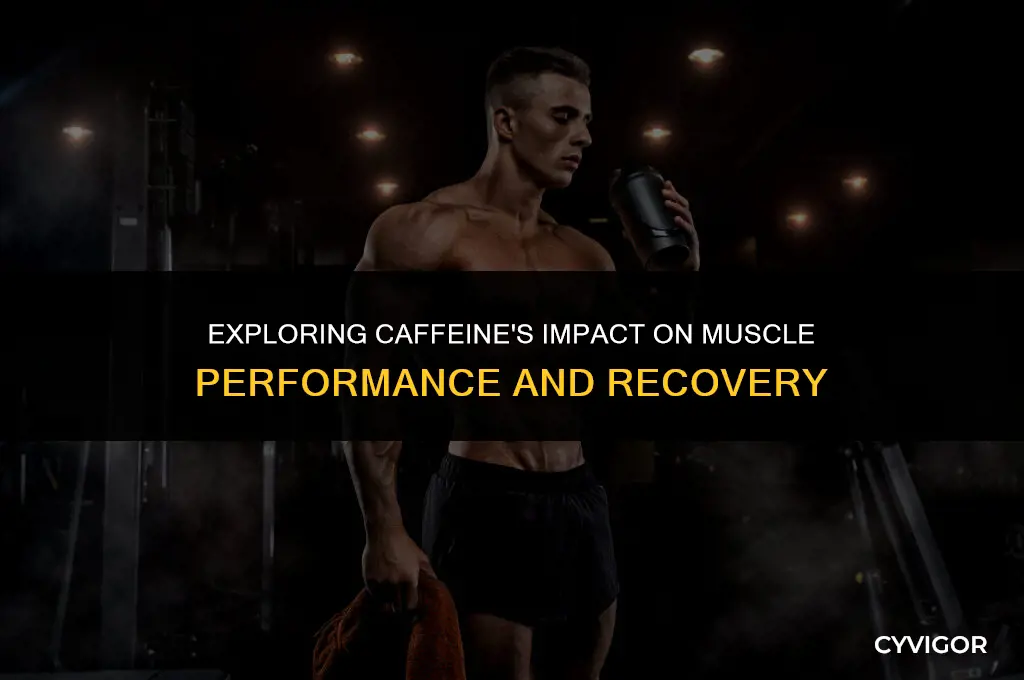 does caffiene affect muscles