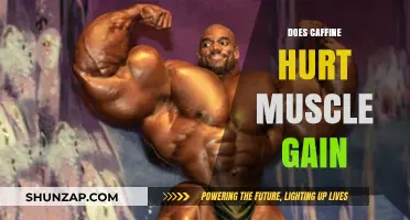 Caffeine and Muscle Gain: Does It Help or Hurt Your Progress?
