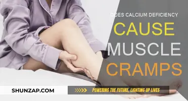 Calcium Deficiency: The Real Cause of Muscle Cramps?