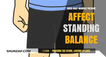 Exploring the Impact of Calf-Muscle Fatigue on Standing Balance