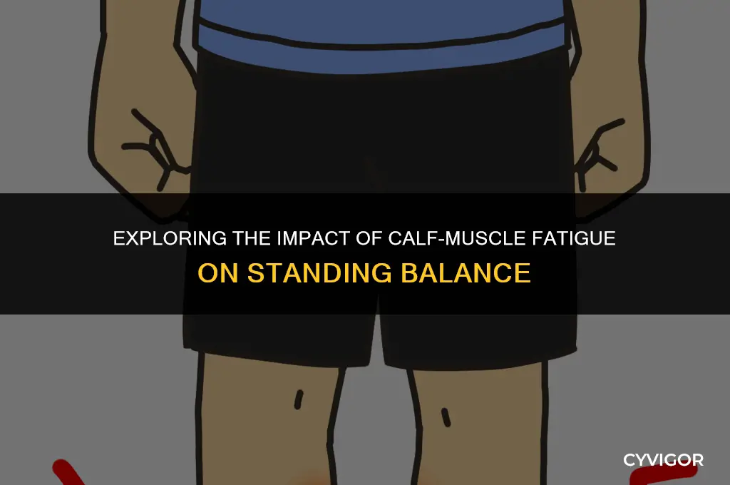 does calf-muscle fatigue affect standing balance