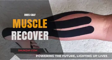 Calf Muscle Recovery: Understanding the Healing Process