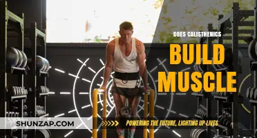 Unlocking Strength: The Muscle-Building Potential of Calisthenics