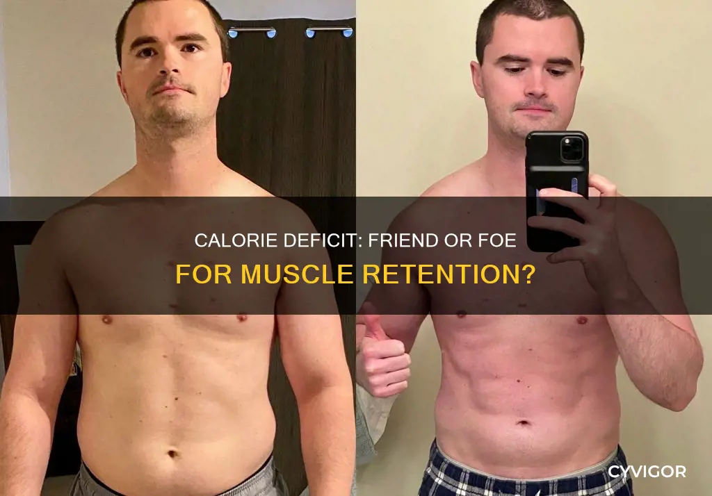 does calorie deficit reduce muscle