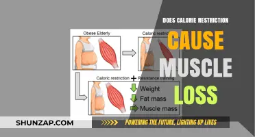 Calorie Restriction: Does It Lead to Muscle Loss?
