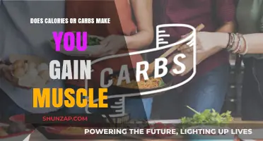 Calories vs. Carbs: Which Fuels Muscle Growth Effectively?