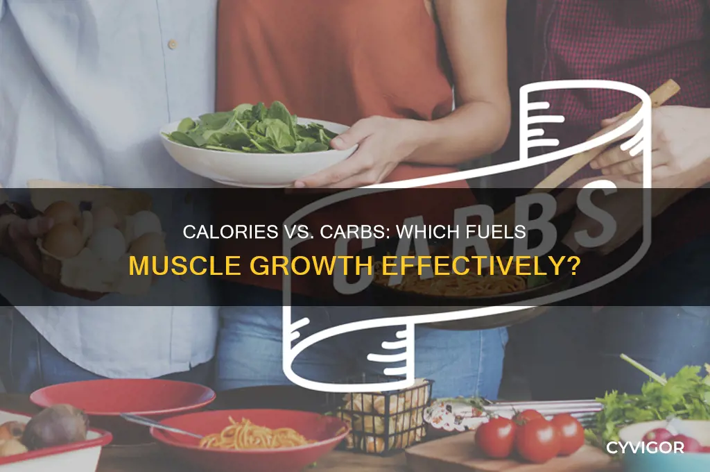 does calories or carbs make you gain muscle