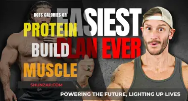 Calories vs. Protein: Unraveling the Muscle-Building Debate