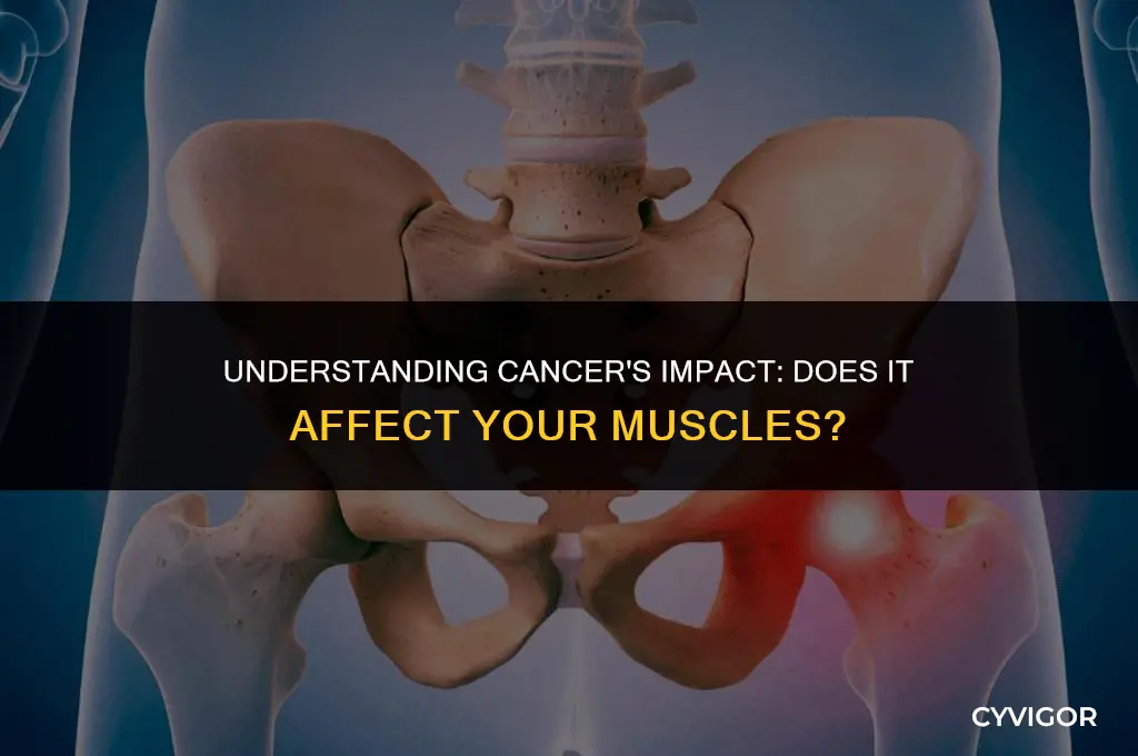 does cancer affect muscles