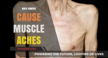 Cancer's Link to Muscle Aches: What's the Truth?