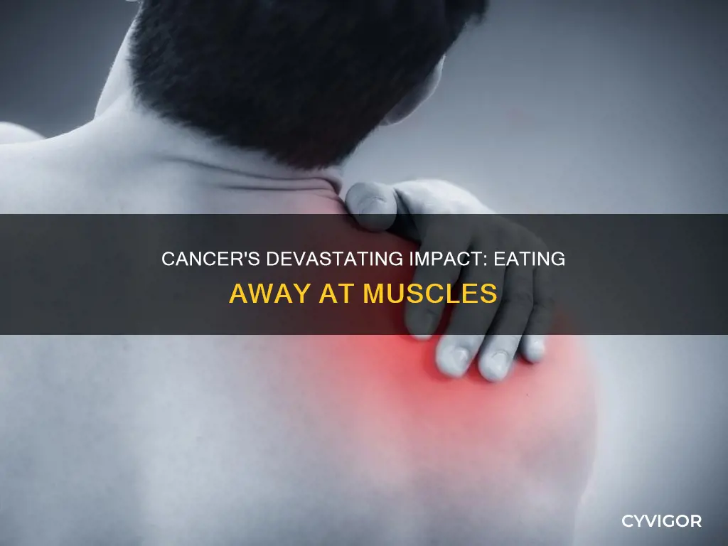 does cancer eat muscle
