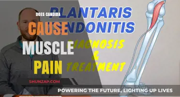 Candida and Muscle Pain: Is There a Link?