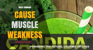 Candida and Muscle Weakness: Is There a Link?