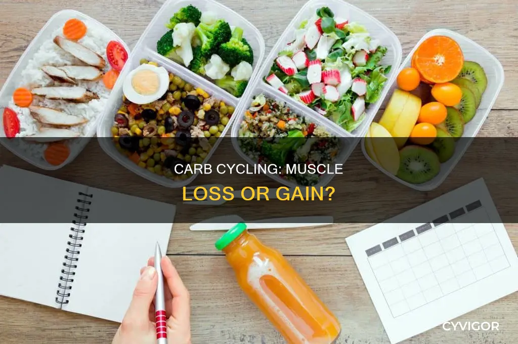 does carb cycling cause muscle loss