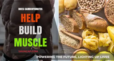 Fueling Your Gains: The Role of Carbohydrates in Muscle Building