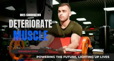 Carbonation's Effect on Muscle Health and Performance