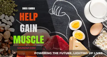 Carbs and Muscle Gain: Unlocking the Role of Carbohydrates