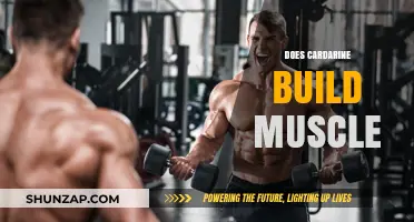 Unlocking the Truth: Cardarine's Role in Muscle Building Explained