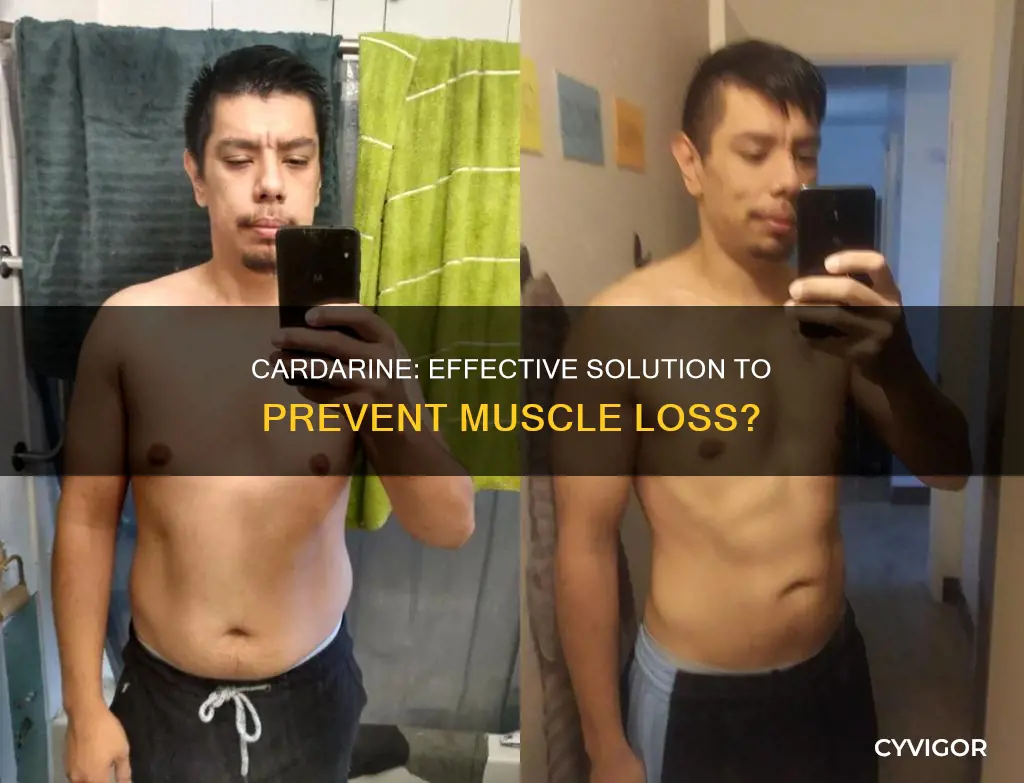 does cardarine prevent muscle loss