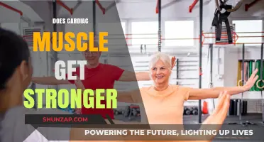 Empowering Heart Health: Can Cardiac Muscle Strength Be Enhanced?
