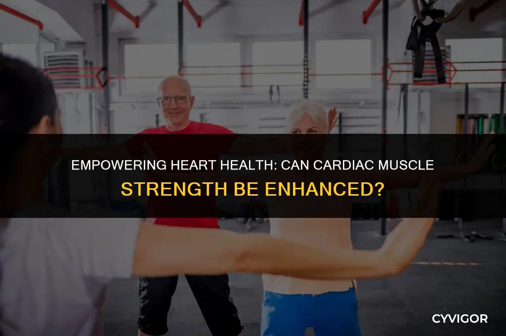 does cardiac muscle get stronger
