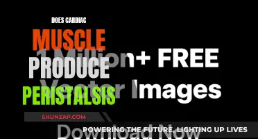 Cardiac Muscle and Peristalsis: What's the Connection?