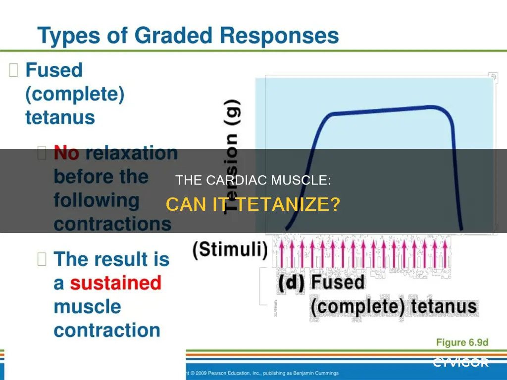 does cardiac muscle tetanize