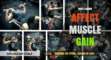 Cardio and Muscle Gain: Debunking Myths for Optimal Fitness