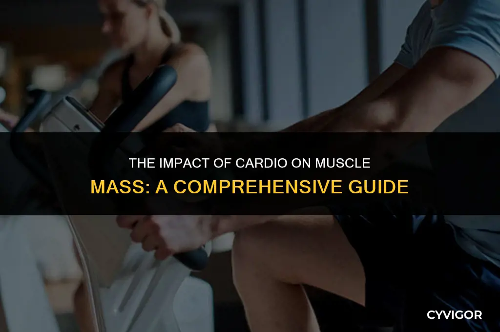 does cardio affect muscle loss