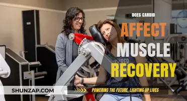 Exploring the Impact of Cardio on Muscle Recovery: A Comprehensive Guide