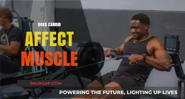 Unraveling the Impact of Cardio on Muscle Growth and Strength