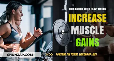 Cardio After Lifting: Boosting Muscle Gains or Hindering Growth?