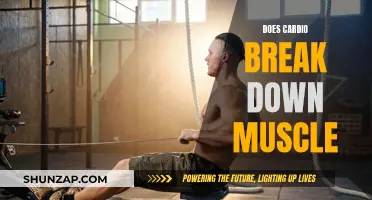 Cardio and Muscle: Friends or Foes?