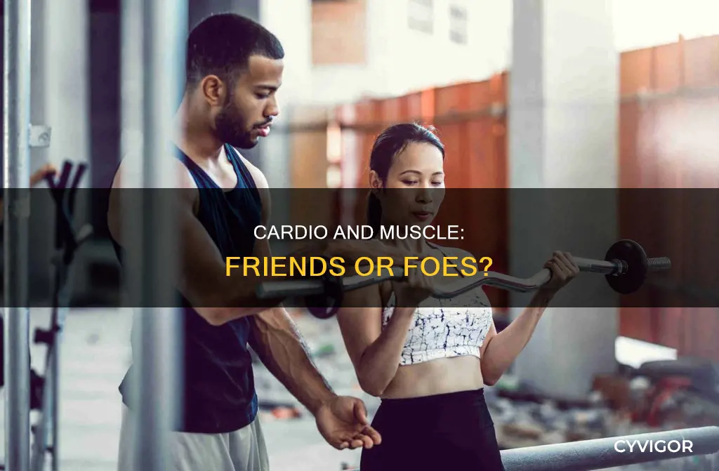 does cardio break down muscle