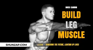 Cardio and Leg Muscle Growth: Separating Fact from Fiction