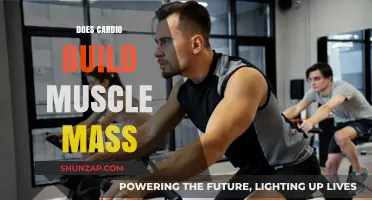Unveiling the Truth: Cardio's Role in Muscle Mass Development