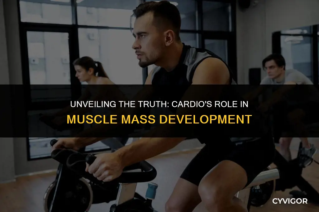 does cardio build muscle mass