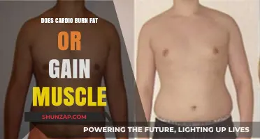 Cardio's Dual Role: Burning Fat vs. Building Muscle Explained