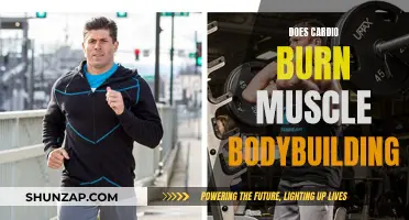Cardio and Bodybuilding: Burning Muscle or Myth?