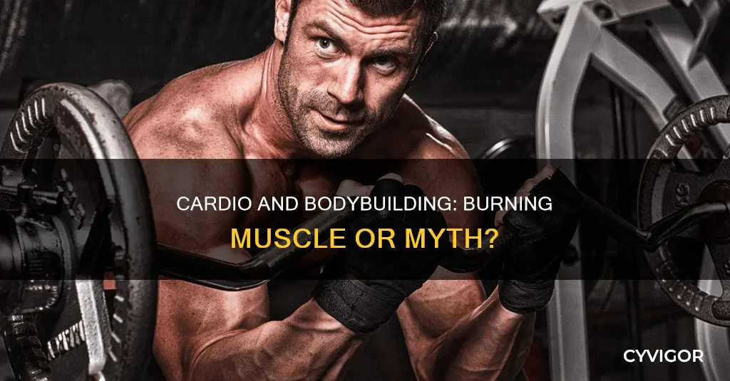 does cardio burn muscle bodybuilding