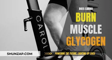 Cardio and Muscle Glycogen: What's the Connection?