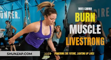 Cardio and Muscle Loss: What's the Real Deal?