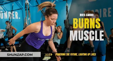 Cardio and Muscle Loss: What's the Real Deal?