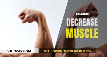 Cardio and Muscle Loss: What's the Real Deal?