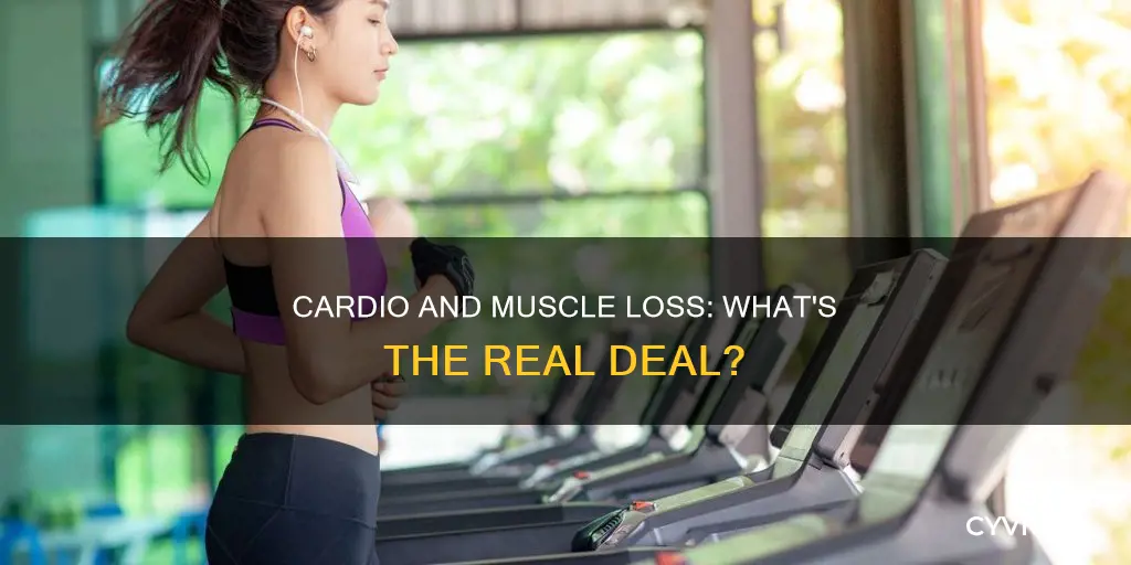 does cardio decrease muscle