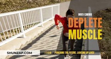 Cardio and Muscle Loss: What's the Real Deal?